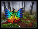 Butterfly Silk Wings Rainbow