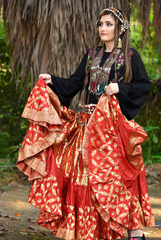 Red banarsi skirt